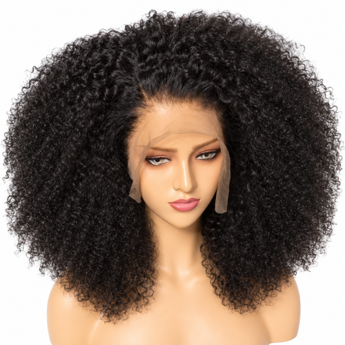 Lace Front Wig Glueless