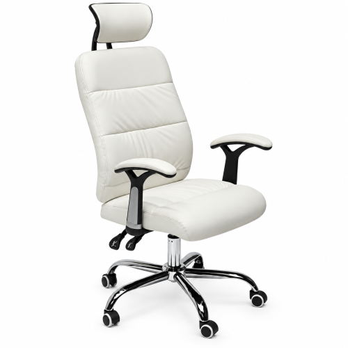 Office Chair With Head
