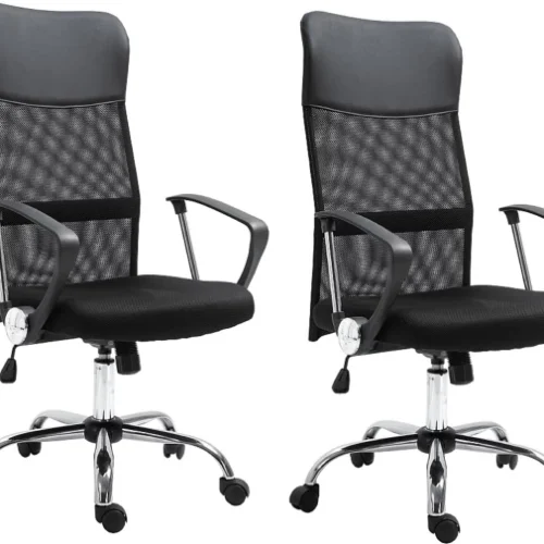 Eay Eay Thing Executive Ergonomic High Back Office Chair - Black set of 2 Office Executive Chair