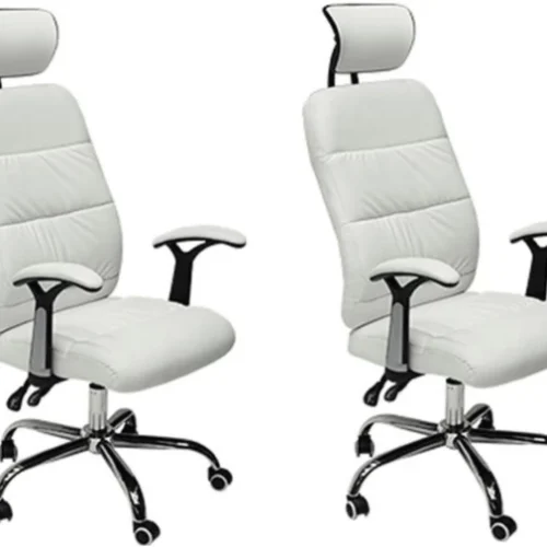 Eay Eay Thing Reclining Office PU Leather Chair with Head & Arm rests - Black Office Executive Chair – White