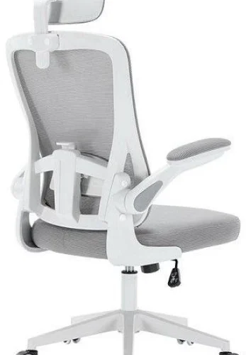 Ojees 800w Office Arm Chair – grey/white