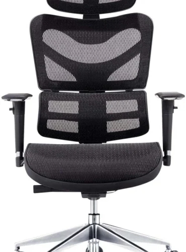 Koga Ergo Human Office Adjustable Arm Chair – Black