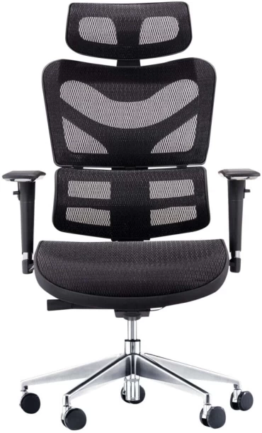 Koga Ergo Human Office Adjustable Arm Chair – Black