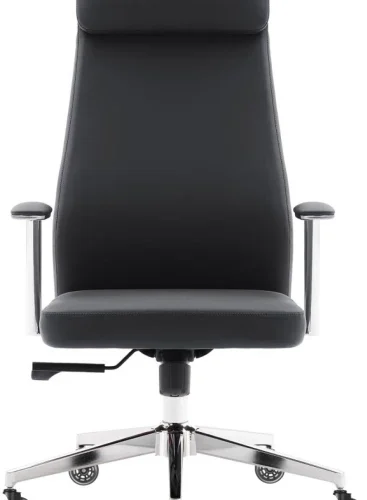 Everfurn Ergonomic High Back Office Office Arm Chair – Black