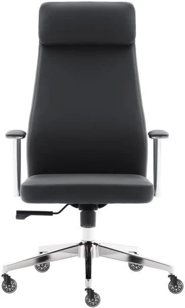 Everfurn Ergonomic High Back Office Office Arm Chair – Black