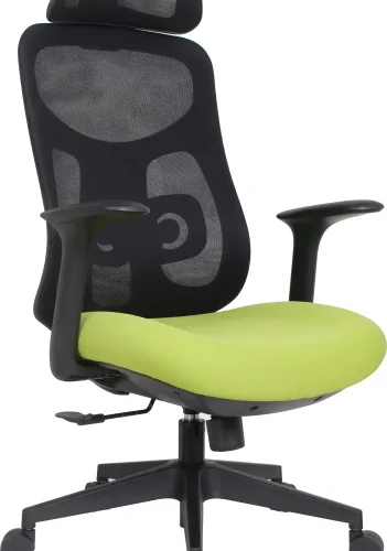 Novogracz Office Stratus Ergonomic Mesh Chair - Lime Green with Black Mesh High Back Chair