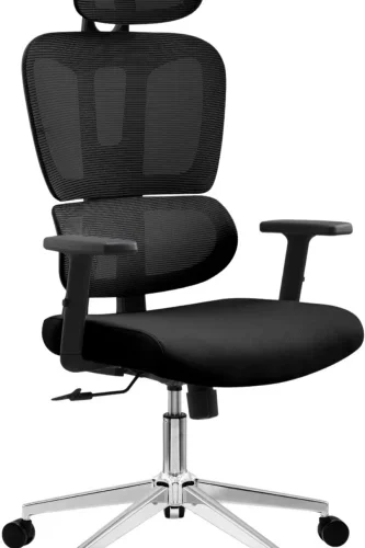 Office Pro Ergolflex Ergonomic Office Executive Chair – Black