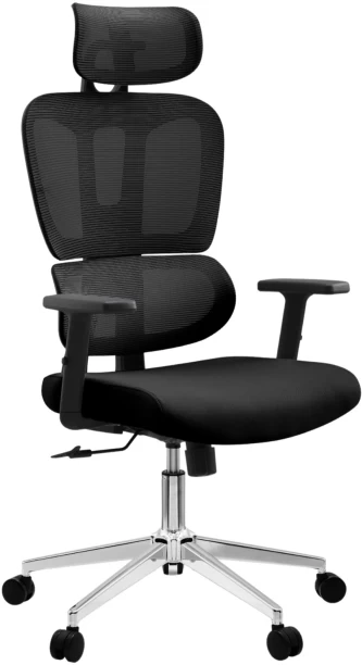 Office Pro Ergolflex Ergonomic Office Executive Chair – Black