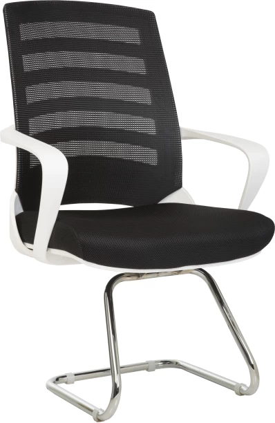 TOCC Light Night Visitors Office Chair Office Arm Chair – Black and White