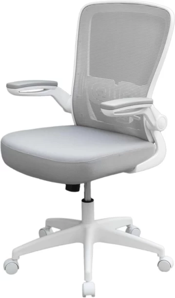 Decorum & Co DCAXT72OC1 Office Adjustable Arm Chair – Grey, White