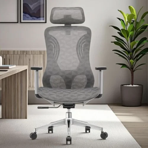 HOD Nadine High back Executive Office Chair Office Adjustable Arm Chair – Grey