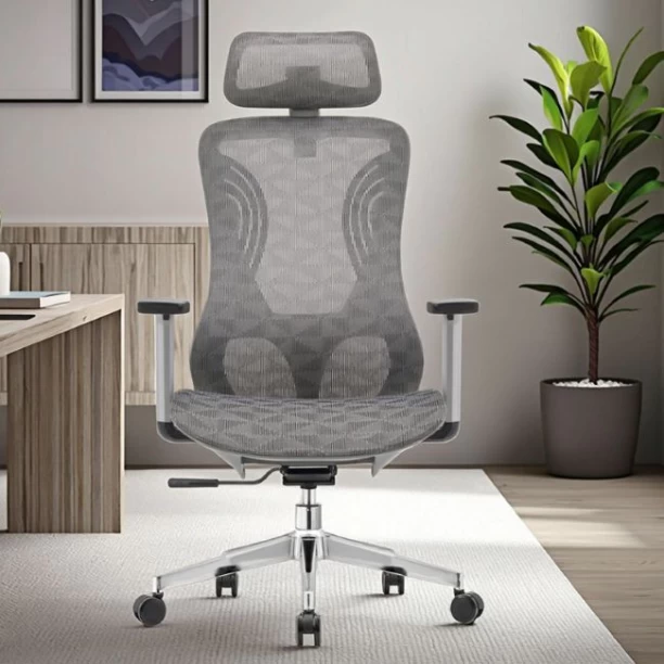 HOD Nadine High back Executive Office Chair Office Adjustable Arm Chair – Grey