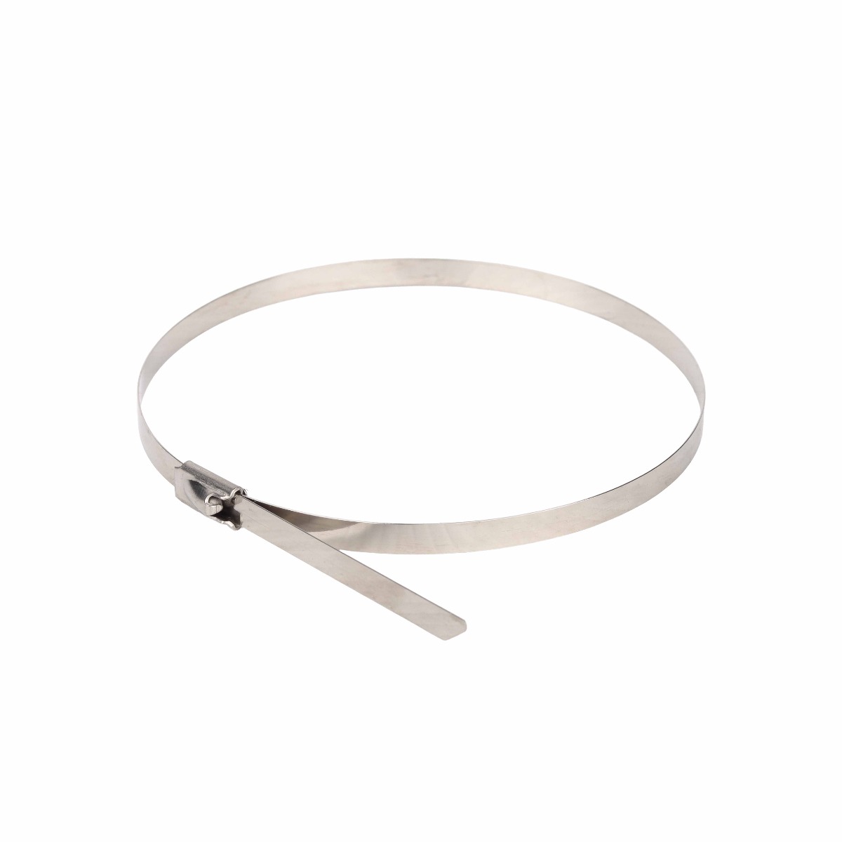 Stainless Steel Cable Tie 50pce 4.6 x 300mm - Image 2